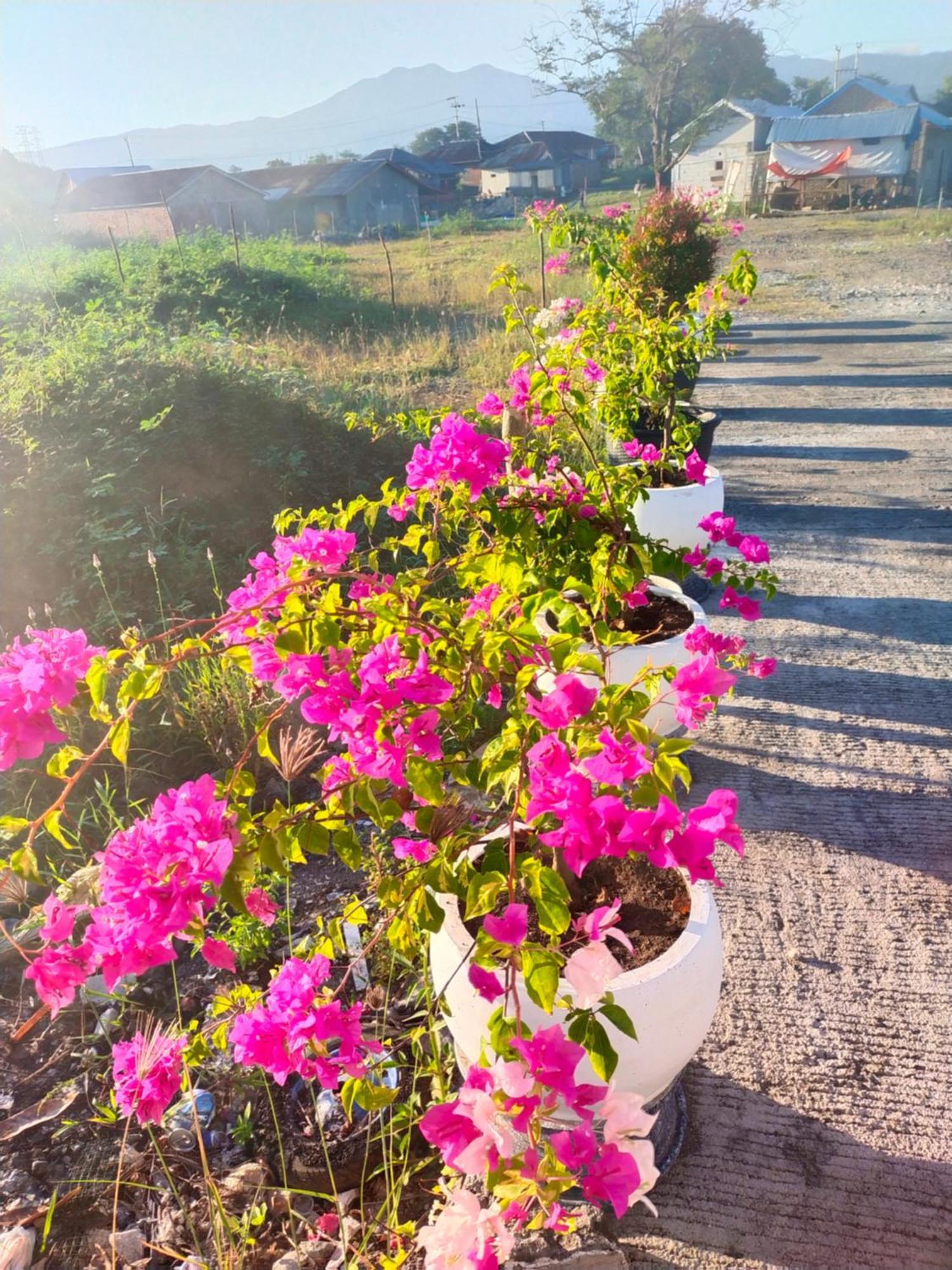 La Geiro Villa לבואן באג'ו מראה חיצוני תמונה